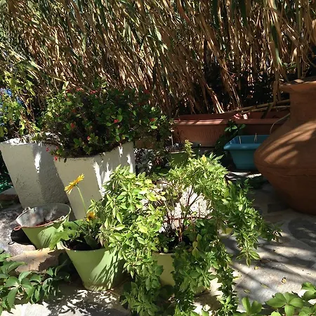 Three Brothers Lejlighedshotel Mandrákion